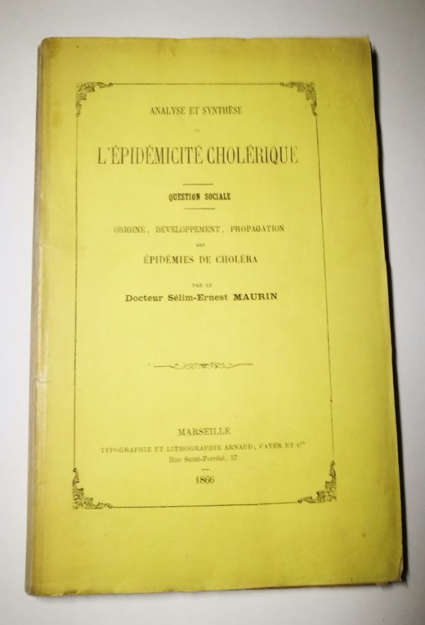 Analyse et synthèse de l'épidémicité cholérique : question sociale, origine, développement, propagation des épidémies de choléra - immagine 5