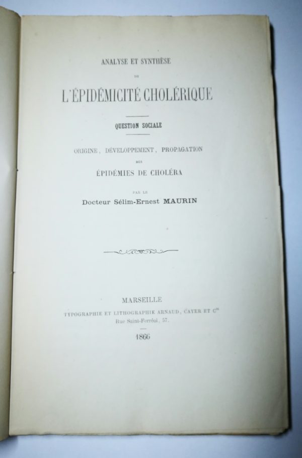 Analyse et synthèse de l'épidémicité cholérique : question sociale, origine, développement, propagation des épidémies de choléra - immagine 2