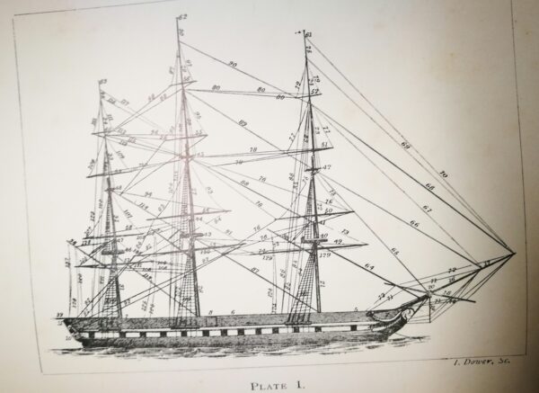 The Seaman’s Manual - Manuale del marinaio per Dana/Mayo - immagine 2