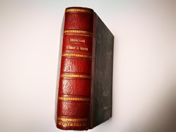 L’Ebreo di Verona. Racconto storico italiano che tocca i tempi dal 1846 ad oggidì