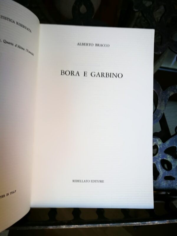 Alberto Bracco - Bora e Garbino - immagine 4