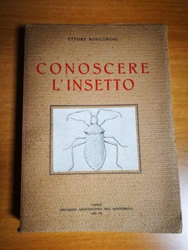 Roncoroni Ettore - Conoscere l’insetto - immagine 3