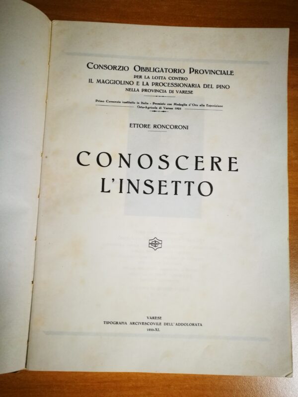 Roncoroni Ettore - Conoscere l’insetto - immagine 4