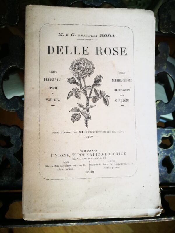 Delle rose. Loro principali specie e varietà - immagine 2