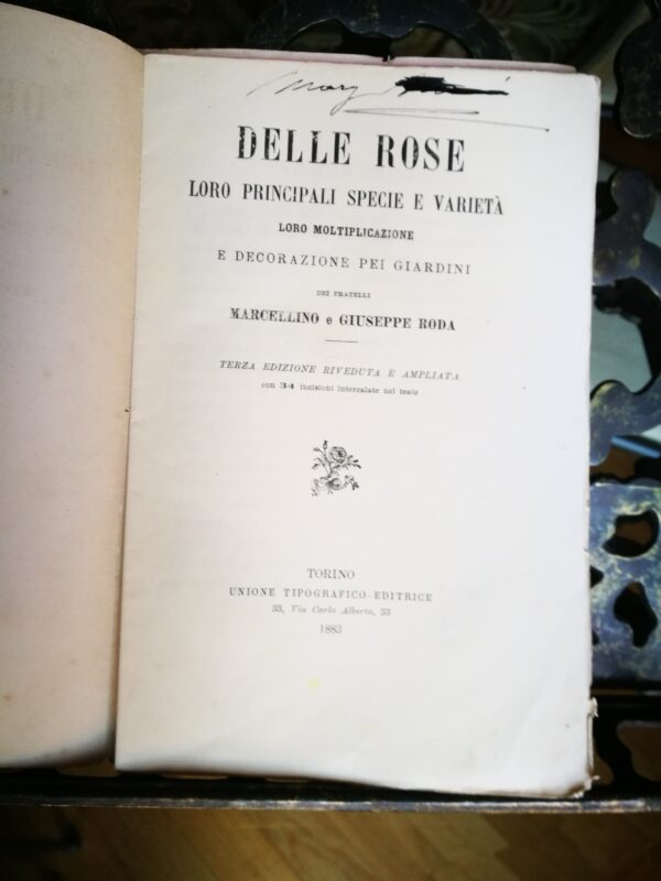 Delle rose. Loro principali specie e varietà - immagine 3