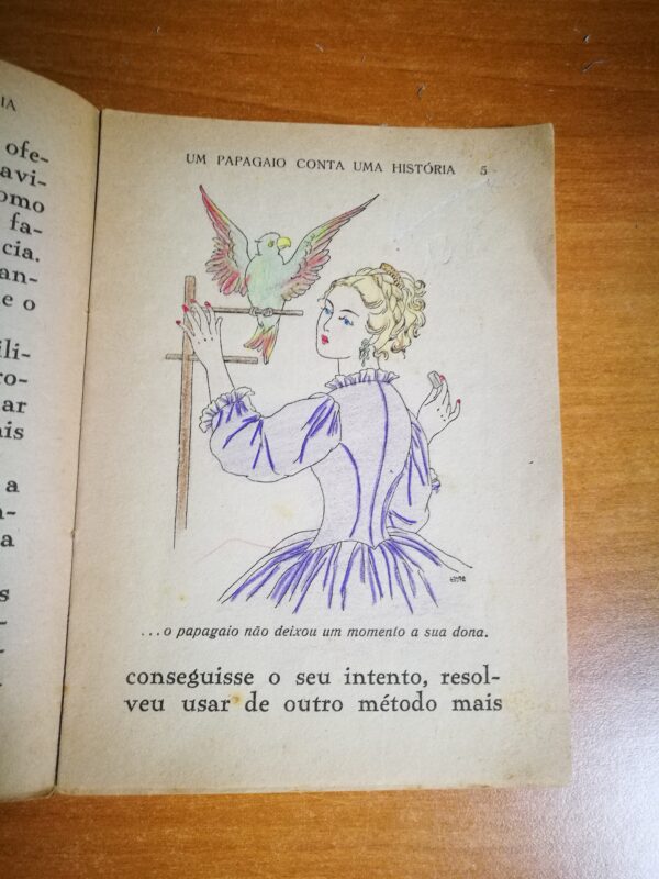 Um papagaio conta uma historia e Um falso Amigo - immagine 2