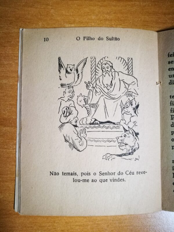 O filho do Sultao (conto infantil) - immagine 3