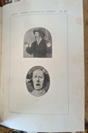 Darwin