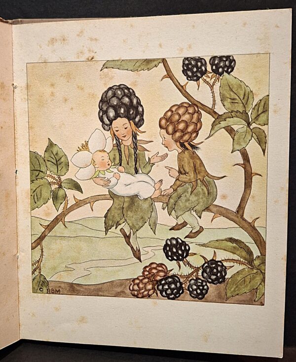 Bacche buone e bacche cattive illustrate da Ida Bohatta-Morpurgo - immagine 5