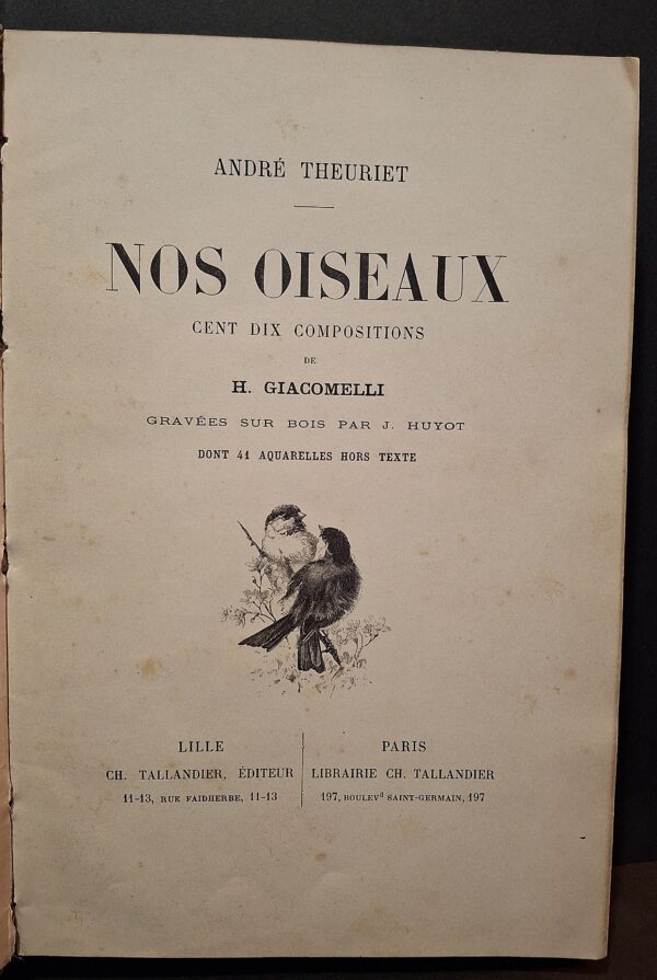 André Theuriet - Nos Oiseaux cent dix compositions de H. Giacomelli – Lille/Paris, Charles Tallandier, 1894 - immagine 3