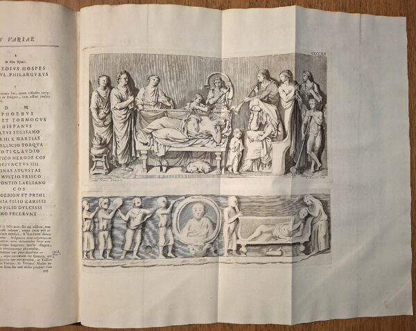 Maffei Scipione - Museum Veronense - Verona, Typis Seminarii, 1749 – Prima Edizione - immagine 7