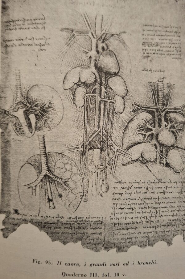 Castiglioni, Arturo - Il volto di Ippocrate. Istorie di Medici e Medicine d’altri tempi – Prima Edizione - immagine 7