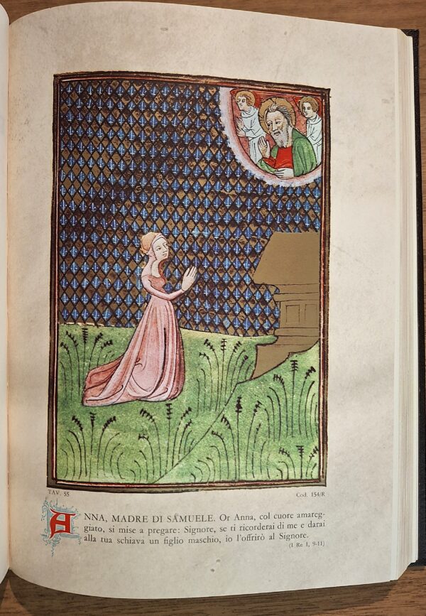 La Sacra Bibbia - Illustrata con LA BIBLE DE SENS e Nuovo Testamento Cristoforo De Predis - Editrice SAIE, 1985 - immagine 7