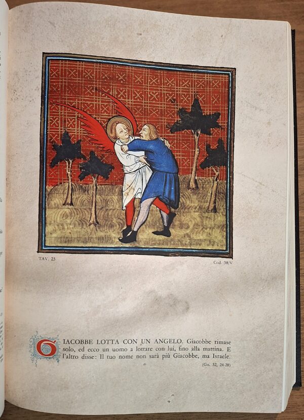 La Sacra Bibbia - Illustrata con LA BIBLE DE SENS e Nuovo Testamento Cristoforo De Predis - Editrice SAIE, 1985 - immagine 9