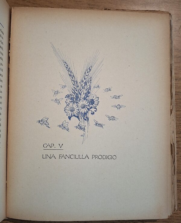 Can.co Tommaso Nediani - La mistica agostiniana di Cascia: Santa Rita - Faenza, Fratelli Lega, MCMXXX [1930] - immagine 7