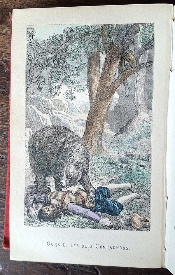 Jean de La Fontaine – Fables - Illustrations de Hadamar et Desandré - Paris, Librairie Théodore Lefèvre & Émile Guérin, [1887 ca.] - immagine 7