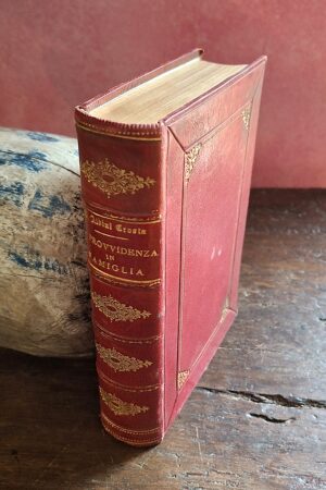 Maddalena Albini Crosta - La Provvidenza in Famiglia - Milano, P. Clerc, Librajo Editore, Via Disciplini 7, 1882