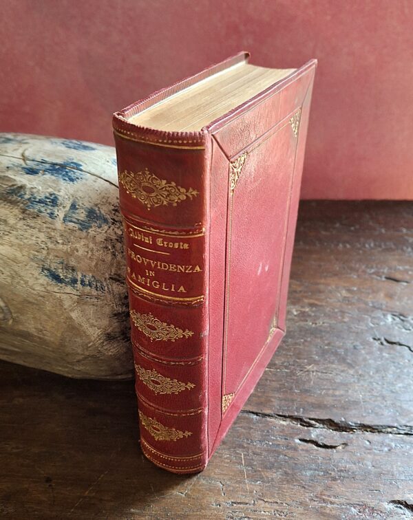 Maddalena Albini Crosta - La Provvidenza in Famiglia - Milano, P. Clerc, Librajo Editore, Via Disciplini 7, 1882