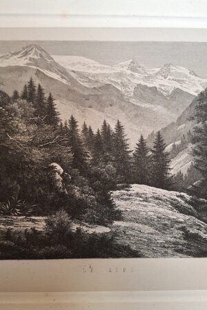 Achille Lauro - Le Alpi -Incisione