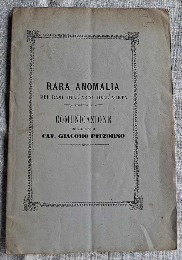 Rara anomalia dei rami dell’arco dell’aorta... del Dottor Cav. Giacomo Pitzorno  Sassari, Tipografia e Litografia S. Mari, s.d. [fine XIX secolo] - immagine 2