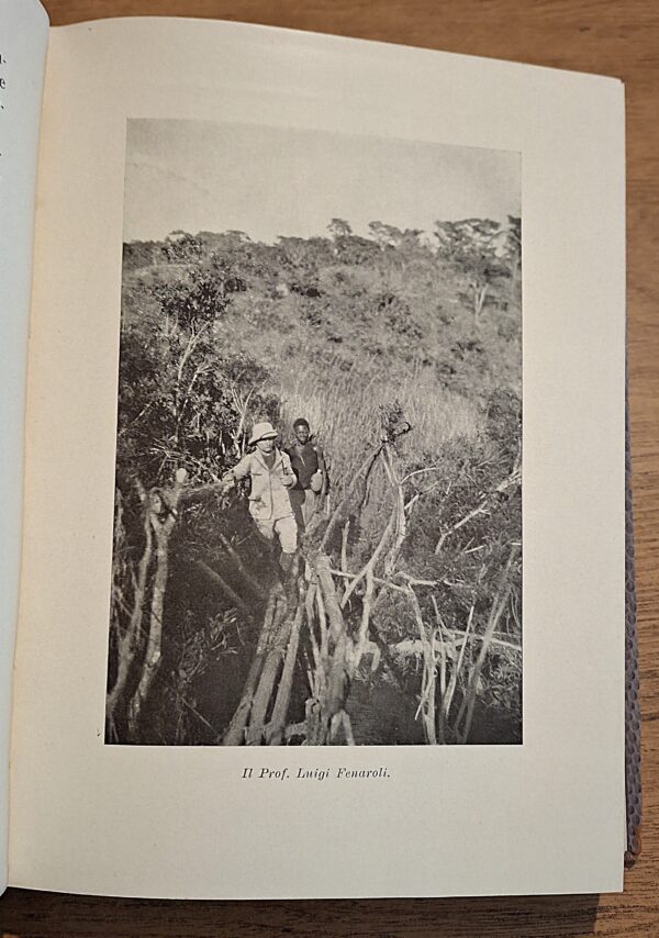 Carlo Baragiola - Il segreto dell’Africa Equatoriale - Milano, Editoriale Arte e Storia, 1933 – XI E. F. - immagine 4