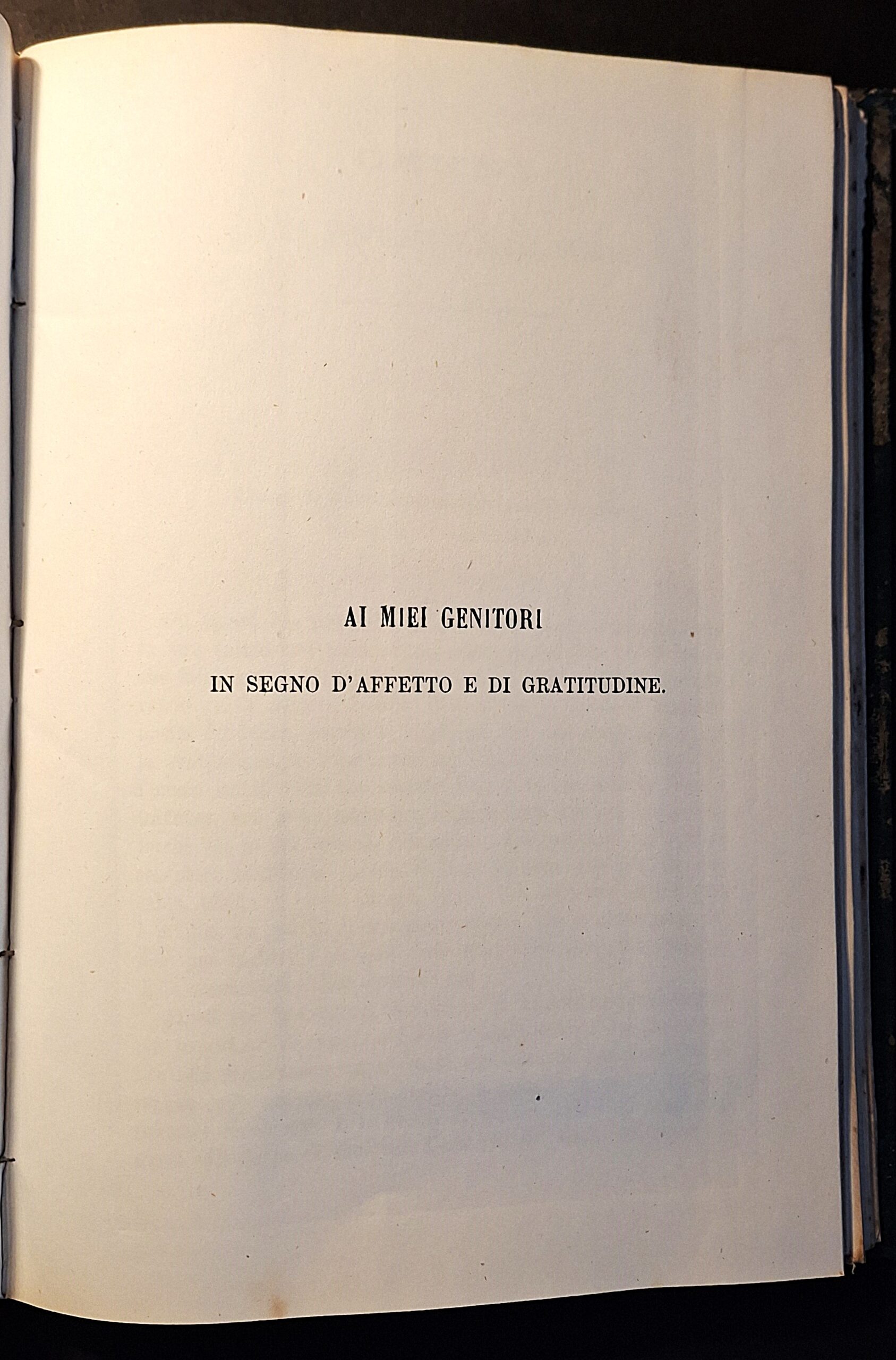 Le Dissertazioni (Tesi) della Regia Scuola d’Applicazione per gli Ingegneri in Torino (1864–1876) - immagine 12