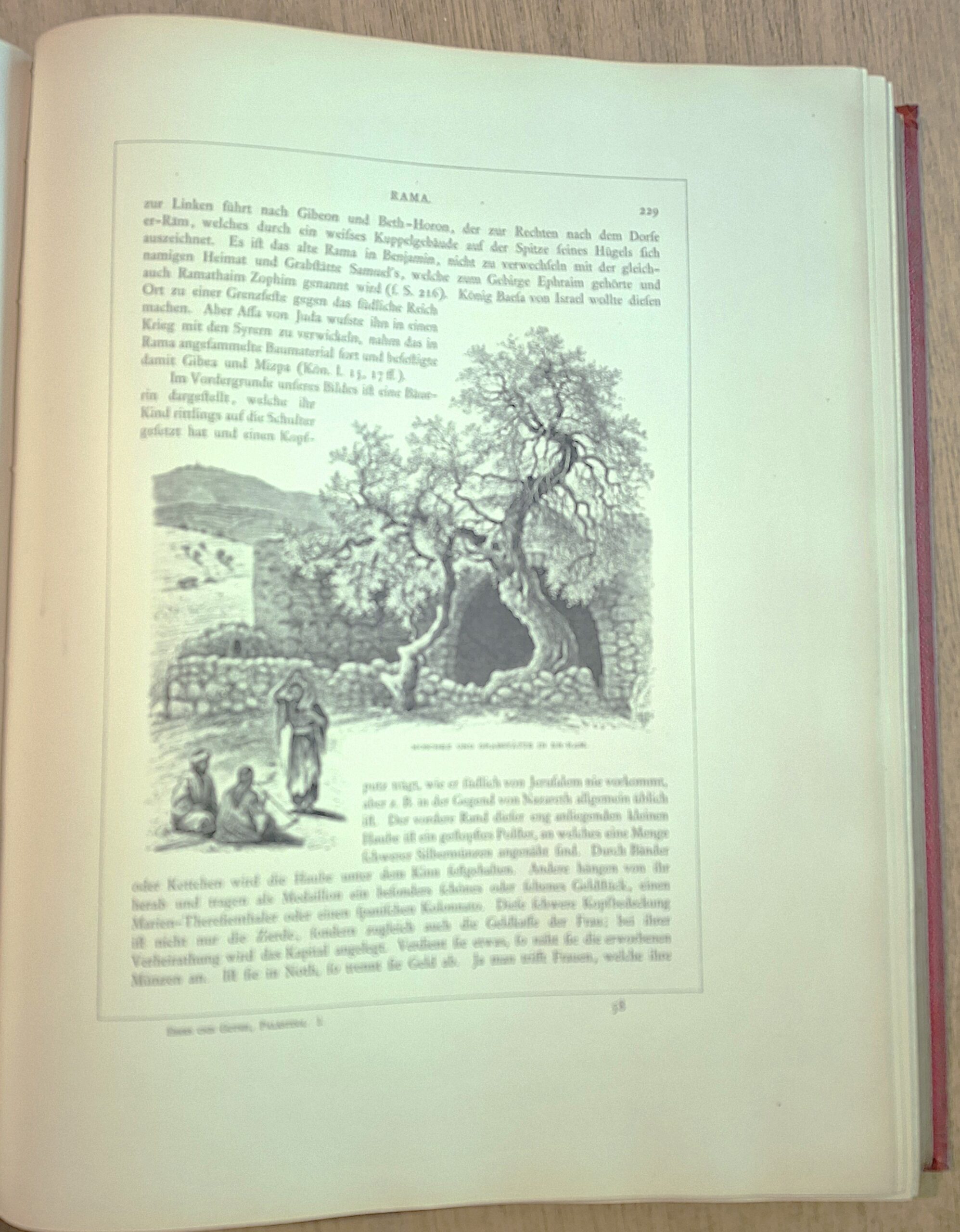 Ebers, Georg; Guthe, Hermann - Palästina in Bild und Wort - Stuttgart und Leipzig, Deutsche Verlags-Anstalt, 1883-1884 - immagine 22