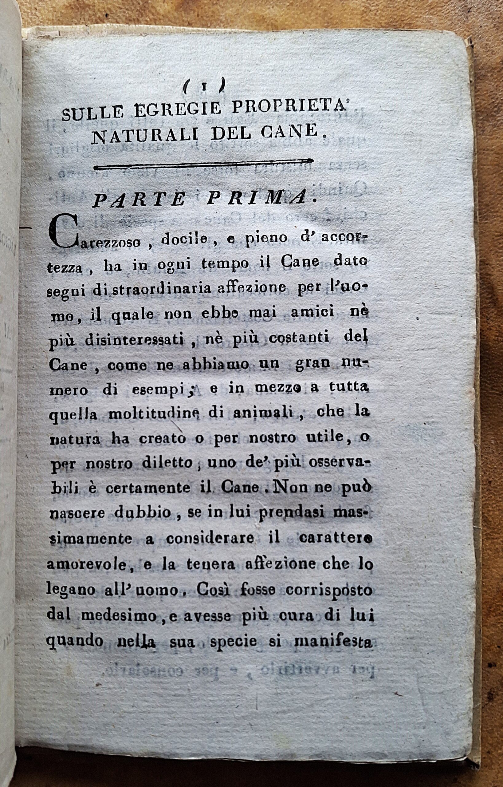 G. G. — L’ammiratore de’ pregi de’ cani — Milano, 1811 - immagine 7