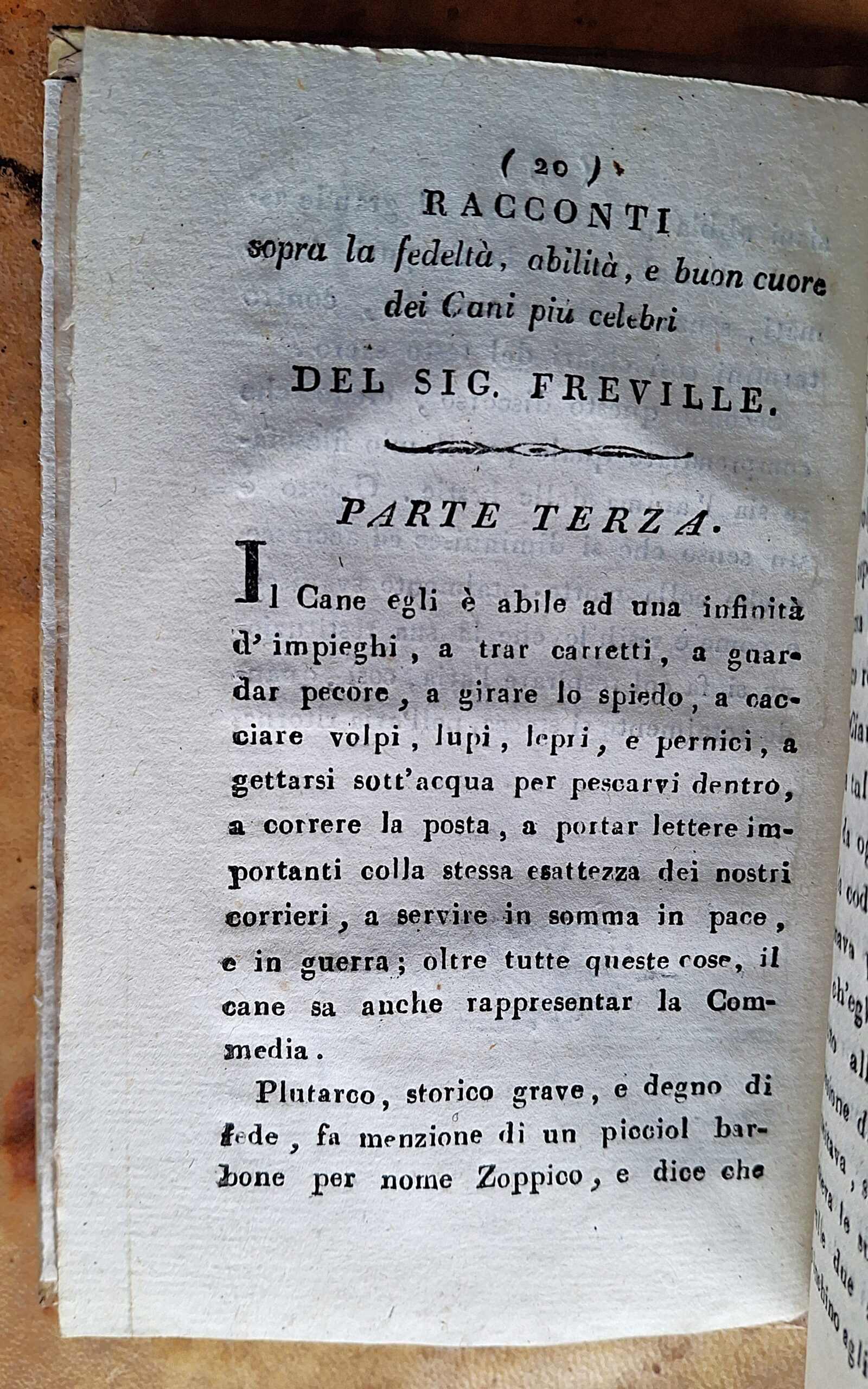 G. G. — L’ammiratore de’ pregi de’ cani — Milano, 1811 - immagine 3