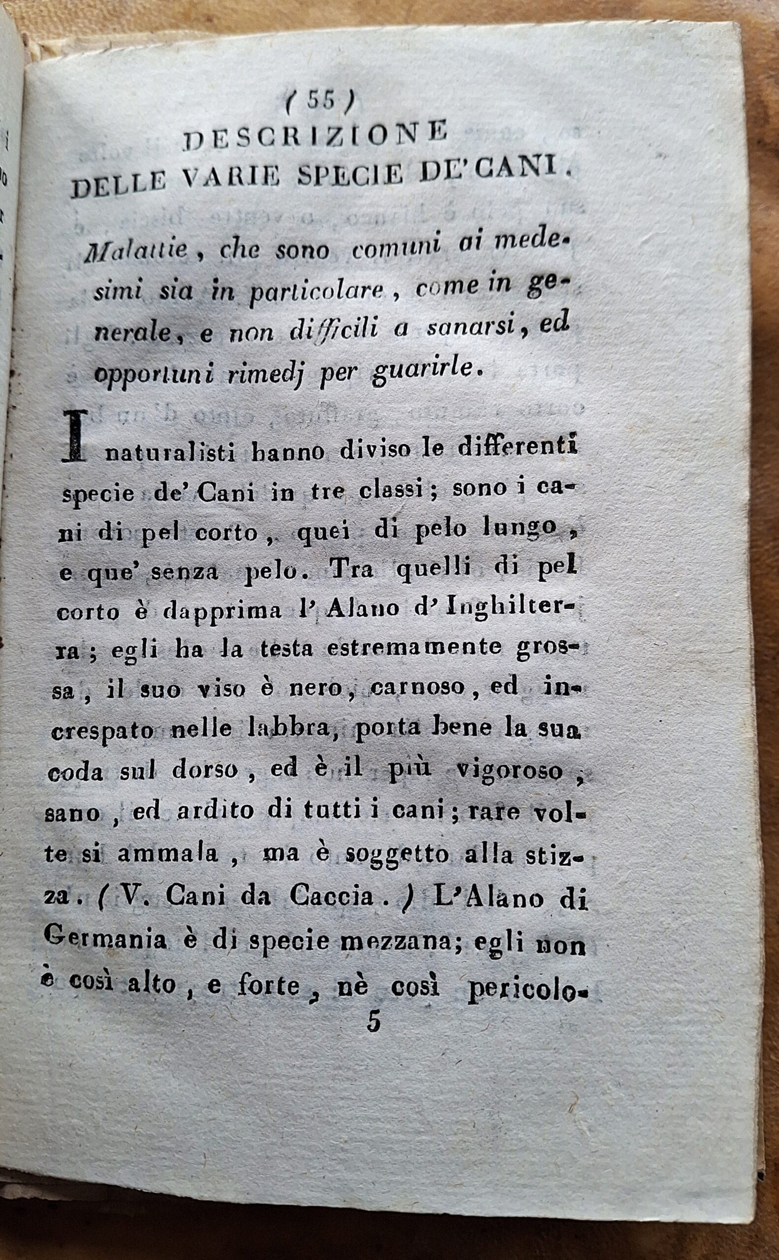 G. G. — L’ammiratore de’ pregi de’ cani — Milano, 1811 - immagine 4