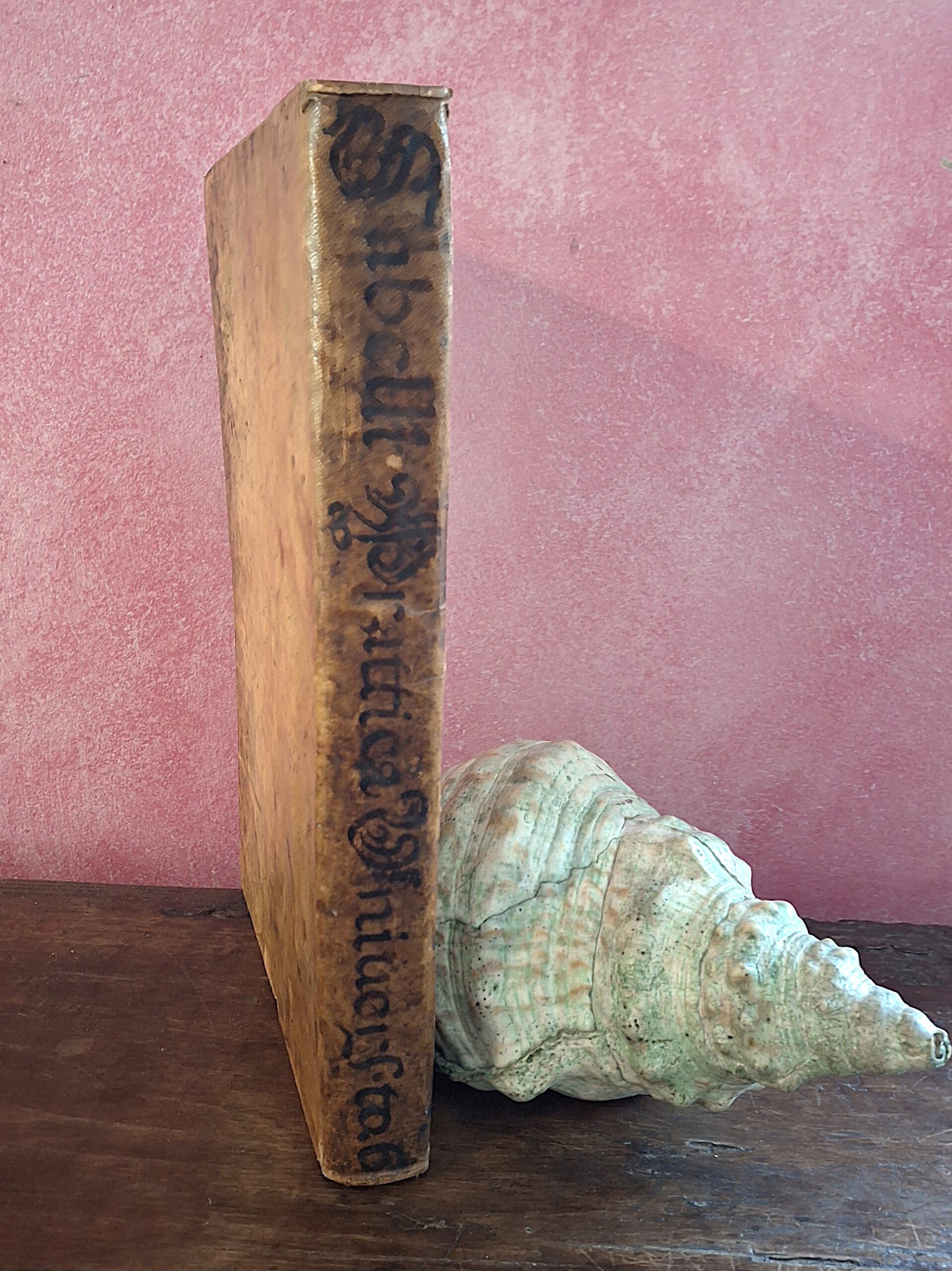 Marc’Antonio Savelli — Pratica universale — Parma, 1717