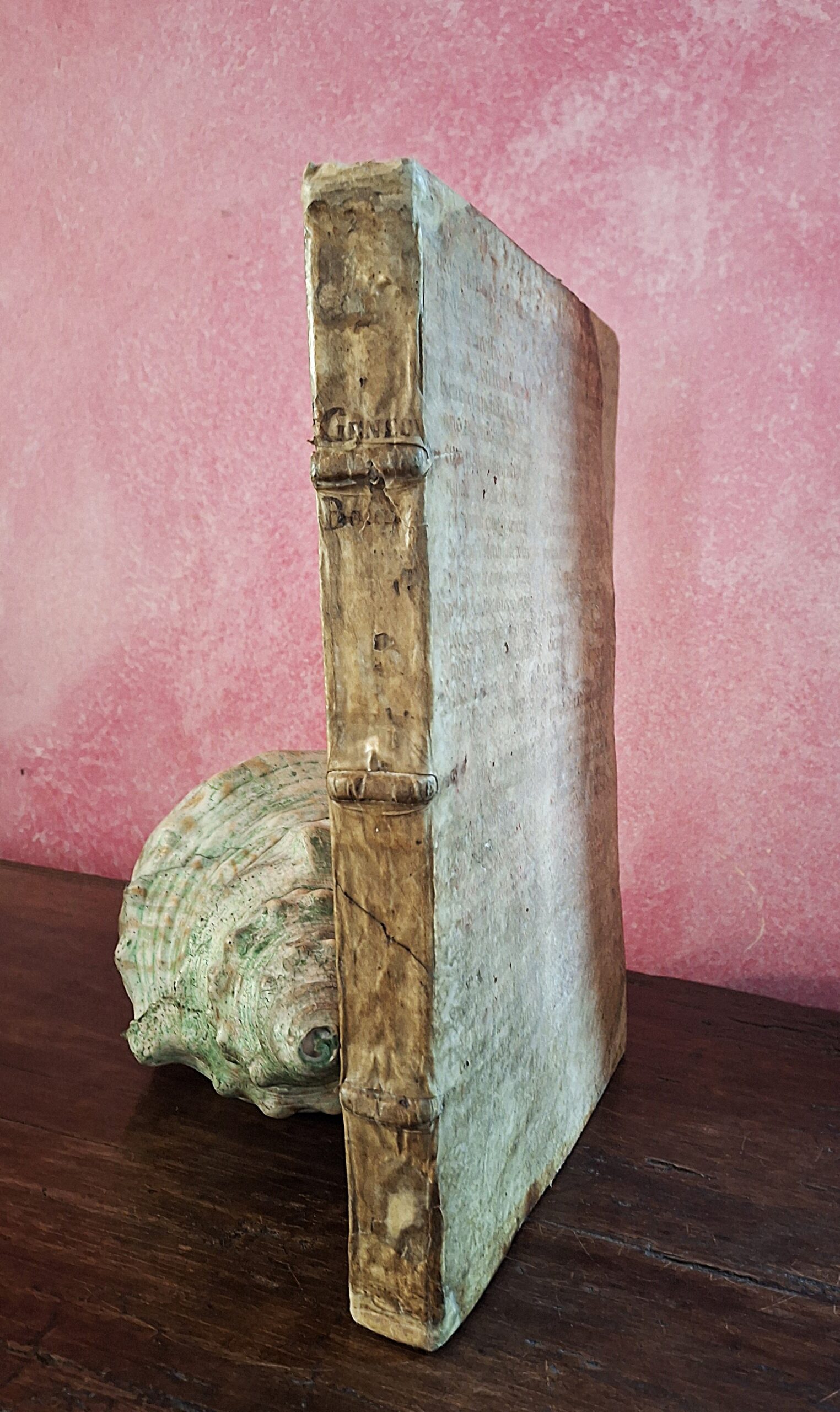 Giovanni Boccaccio — Genealogie deorum gentilium. Parigi, 1511 - immagine 16