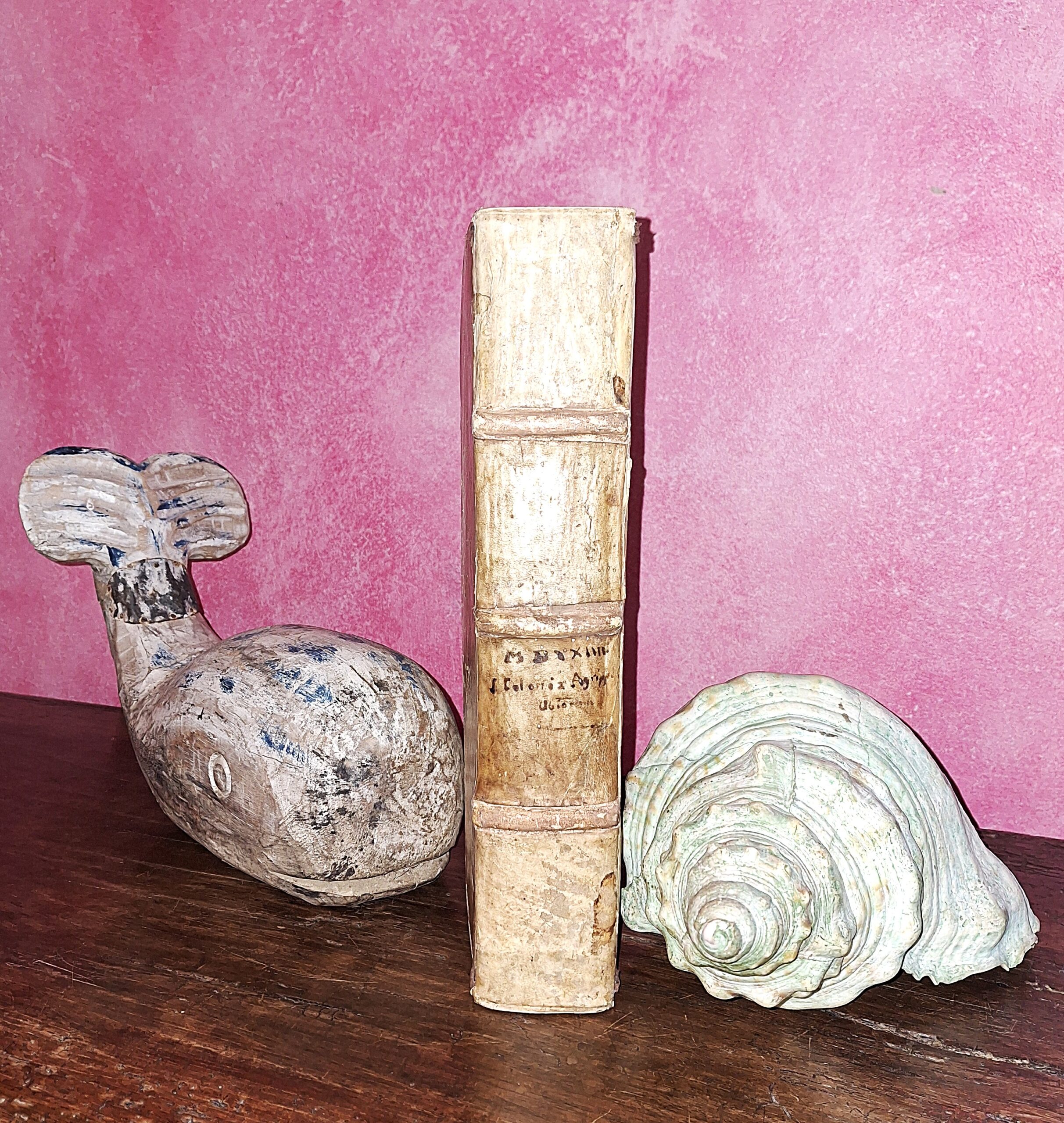 Plinius Secundus, Gaius – Naturalis historiae opus. Coloniae, Eucharius Cervicornus, 1524 - immagine 2