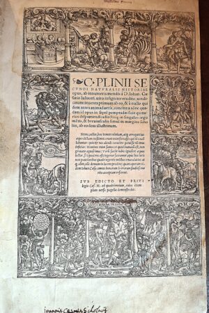 Plinius Secundus, Gaius – Naturalis historiae opus. Coloniae, Eucharius Cervicornus, 1524