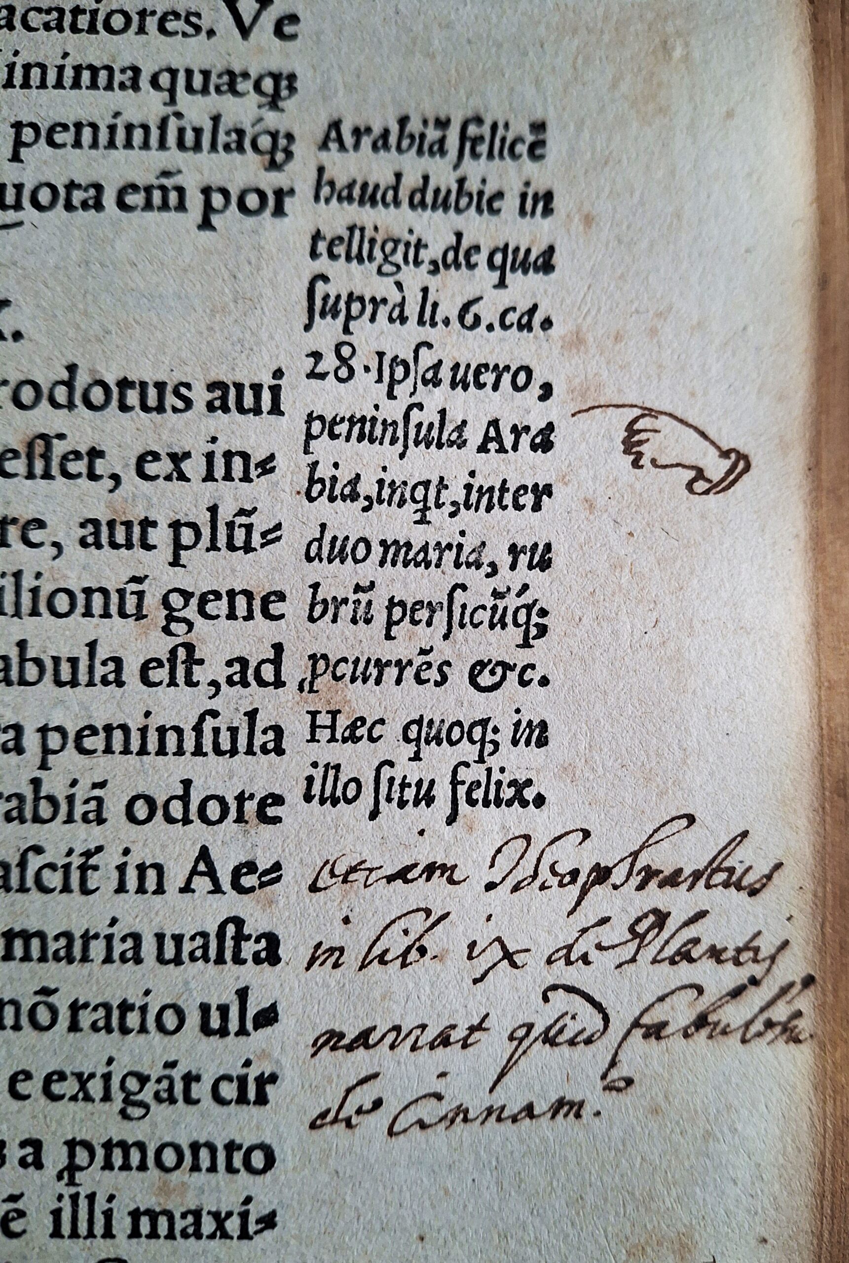 Plinius Secundus, Gaius – Naturalis historiae opus. Coloniae, Eucharius Cervicornus, 1524 - immagine 11