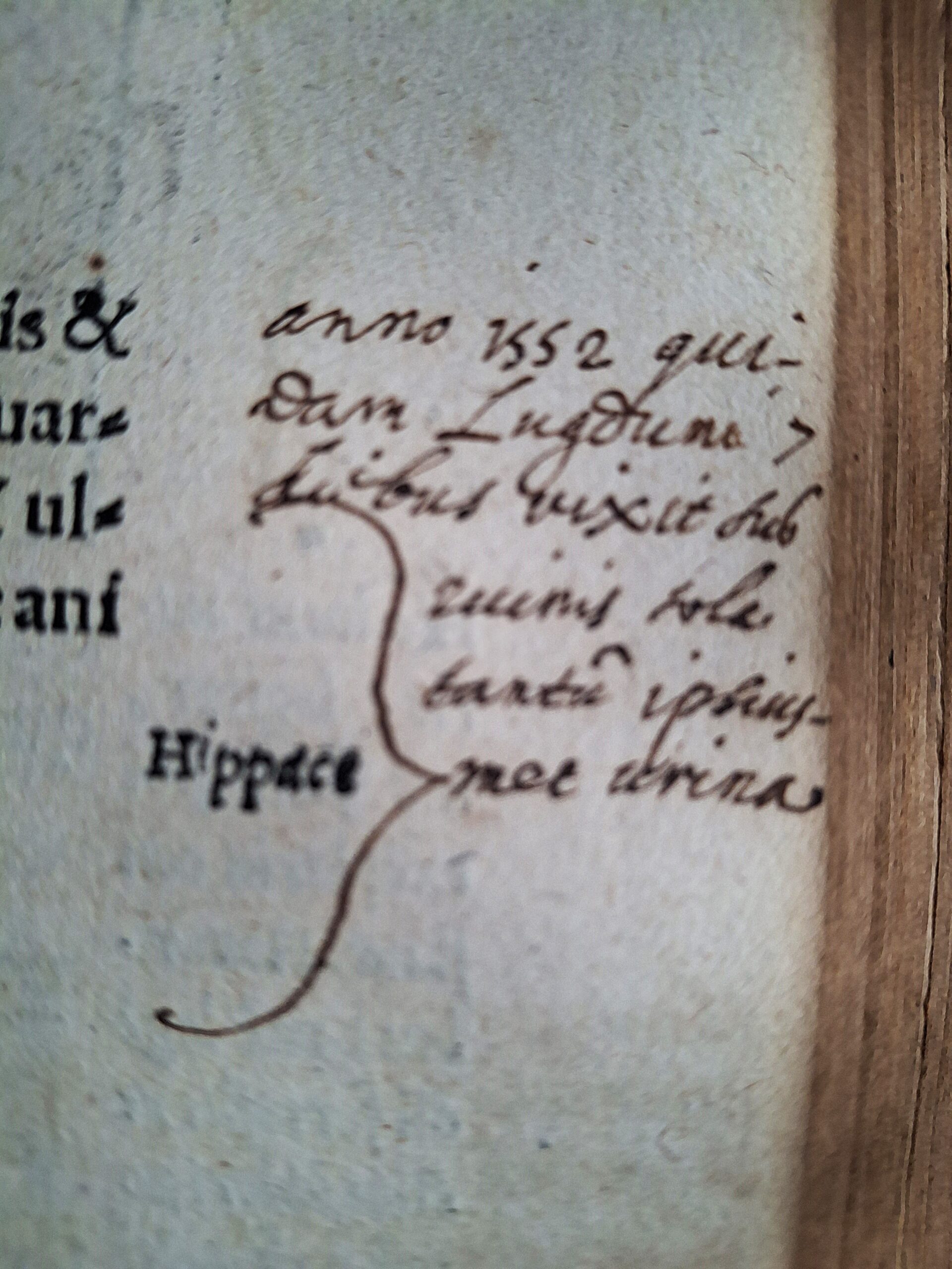 Plinius Secundus, Gaius – Naturalis historiae opus. Coloniae, Eucharius Cervicornus, 1524 - immagine 12