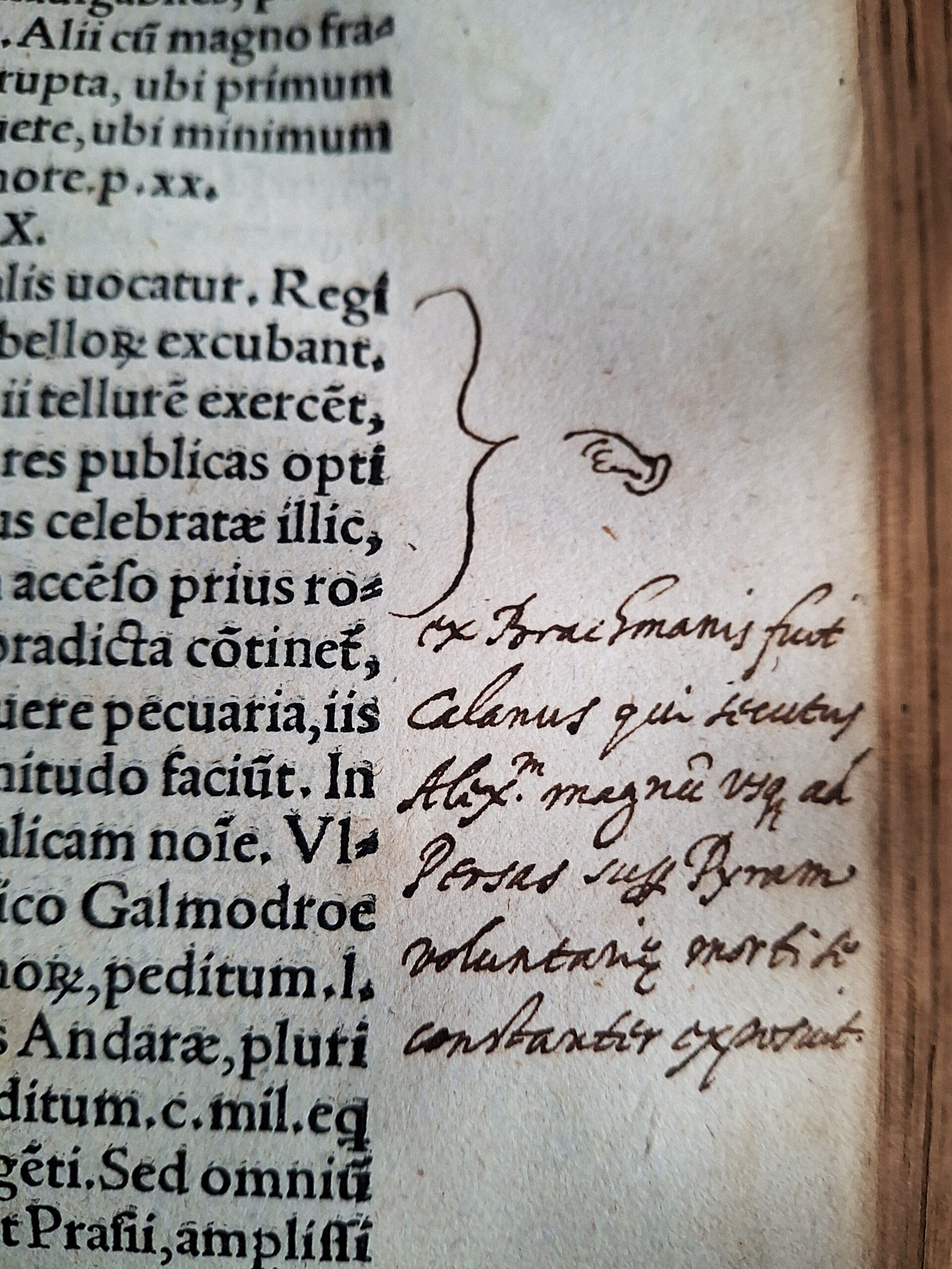Plinius Secundus, Gaius – Naturalis historiae opus. Coloniae, Eucharius Cervicornus, 1524 - immagine 16