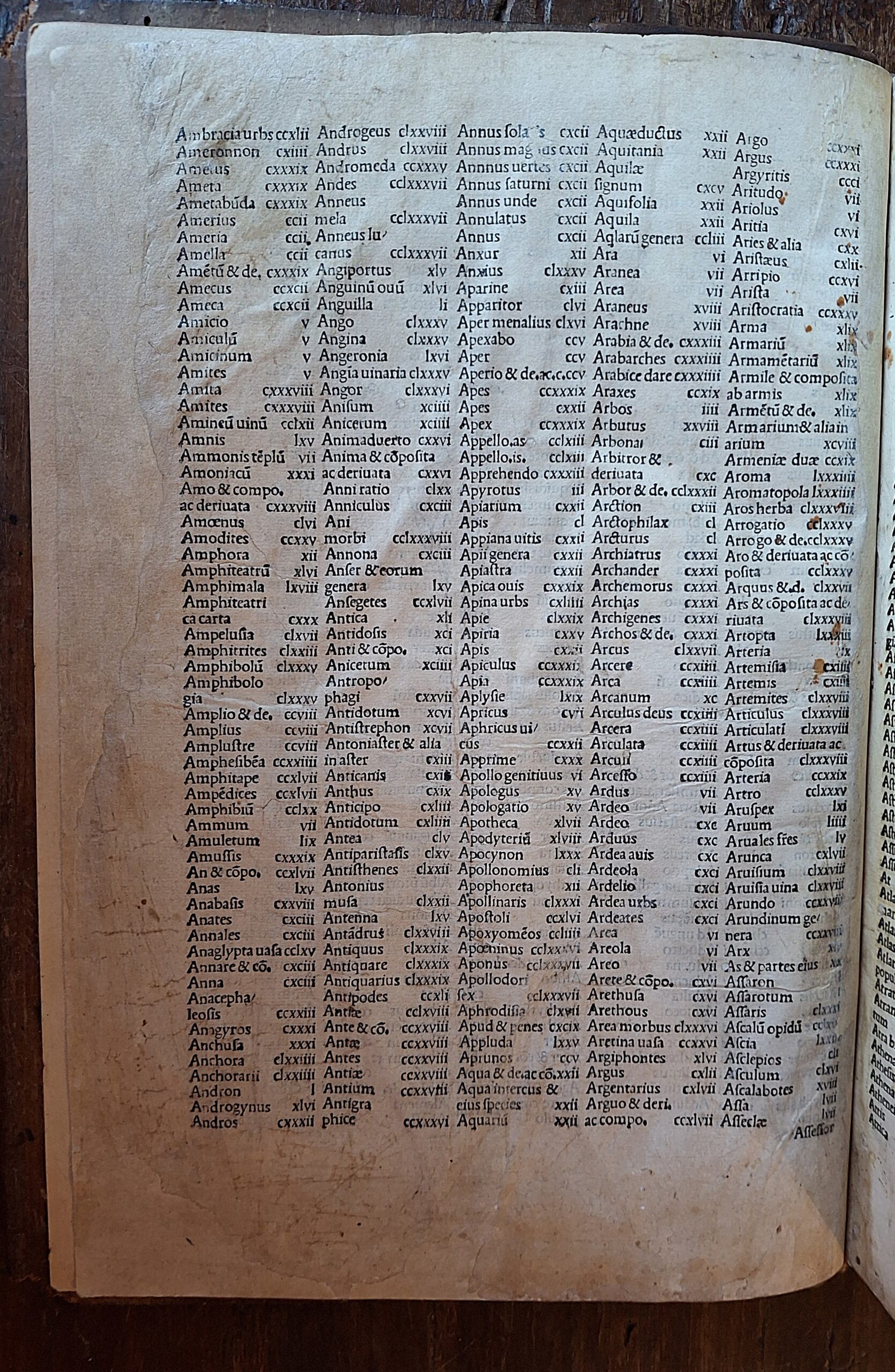 Niccolò Perotti - Cornucopiae linguae latinae - Venezia, 1490 - immagine 3