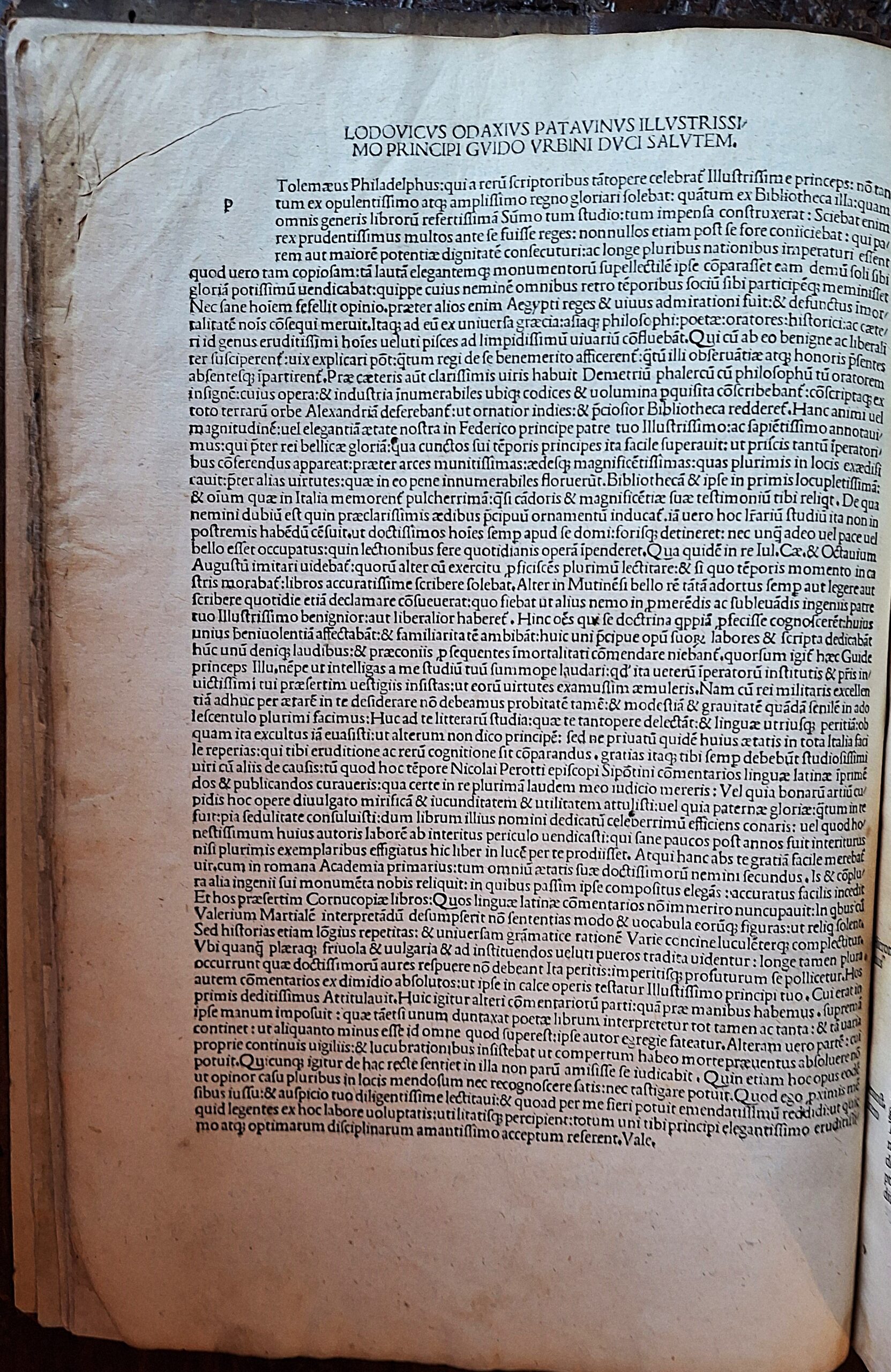 Niccolò Perotti - Cornucopiae linguae latinae - Venezia, 1490 - immagine 4