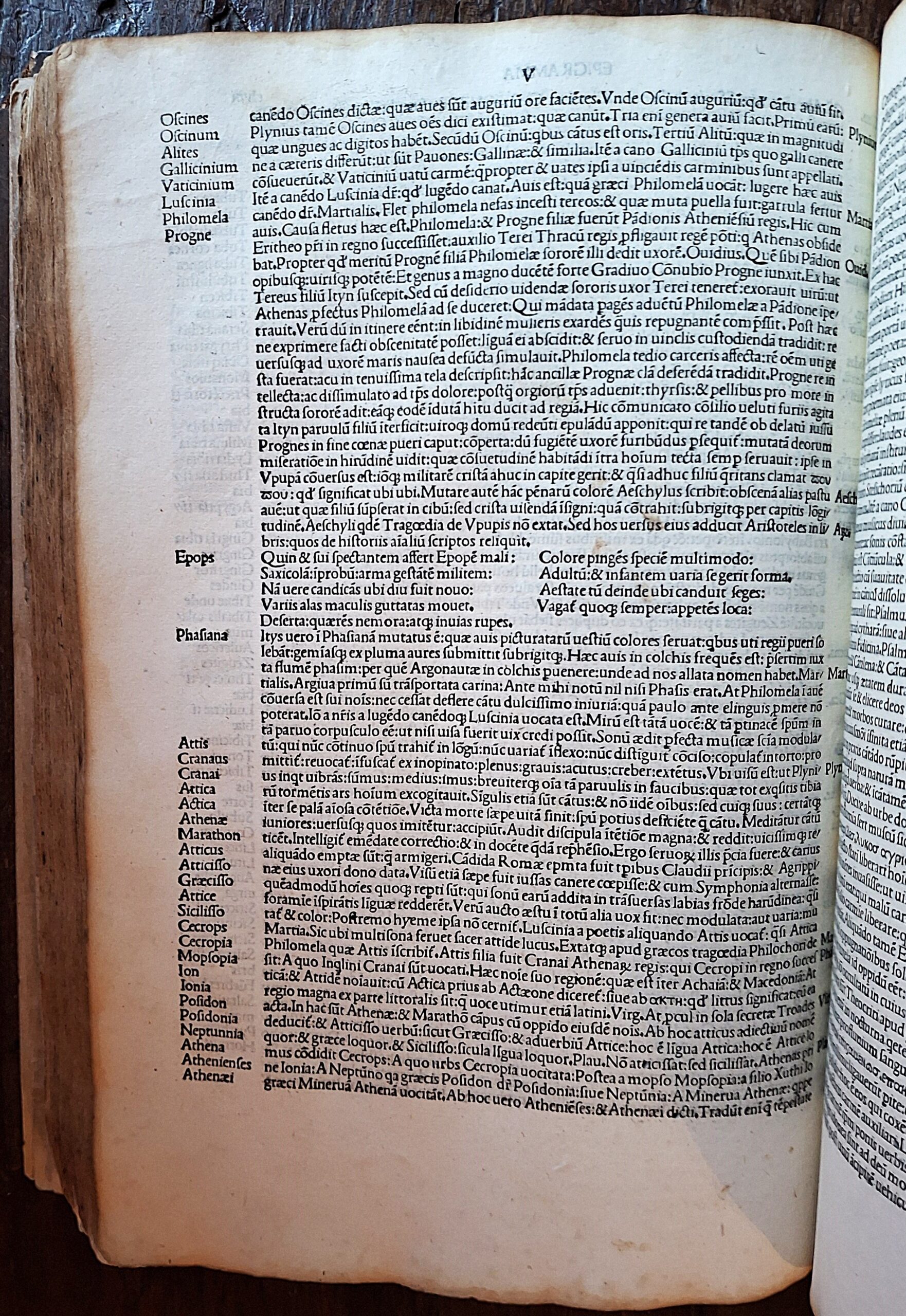 Niccolò Perotti - Cornucopiae linguae latinae - Venezia, 1490 - immagine 6