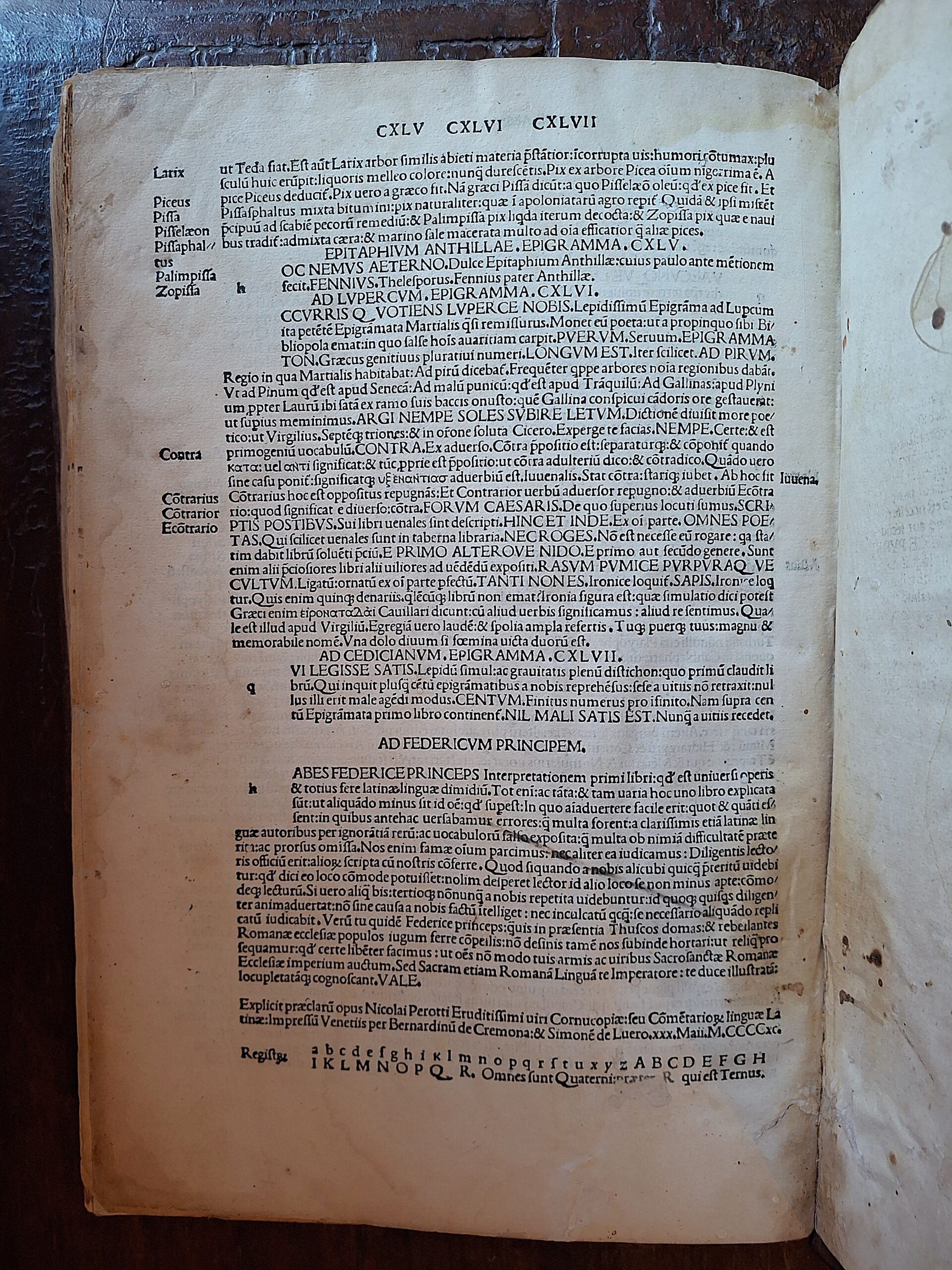 Niccolò Perotti - Cornucopiae linguae latinae - Venezia, 1490 - immagine 7