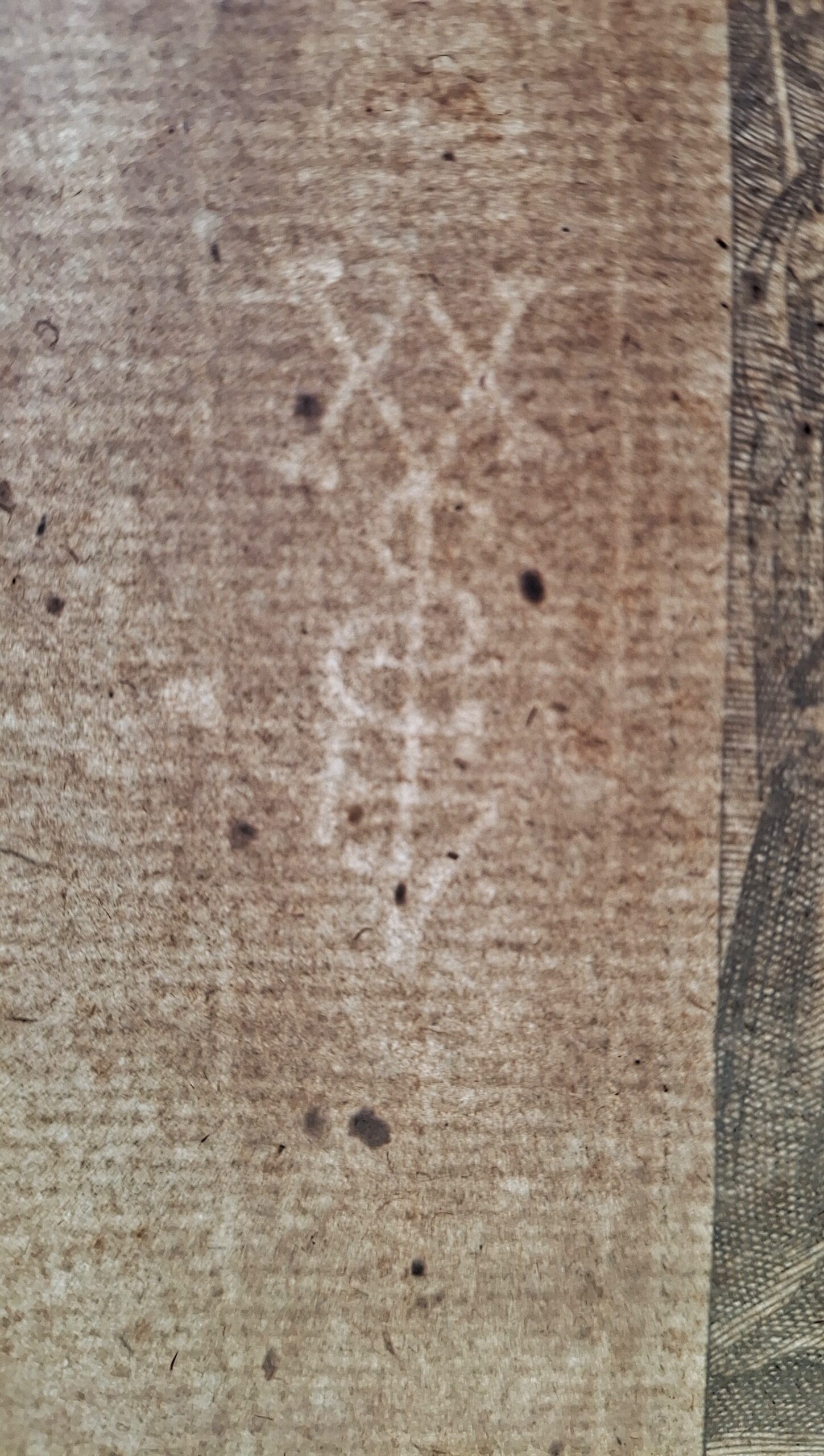Iconographia Magni Patris Aurelii Augustini Hipponensis Episcopi, et Ecclesiae Doctoris Excellentissimi - immagine 12