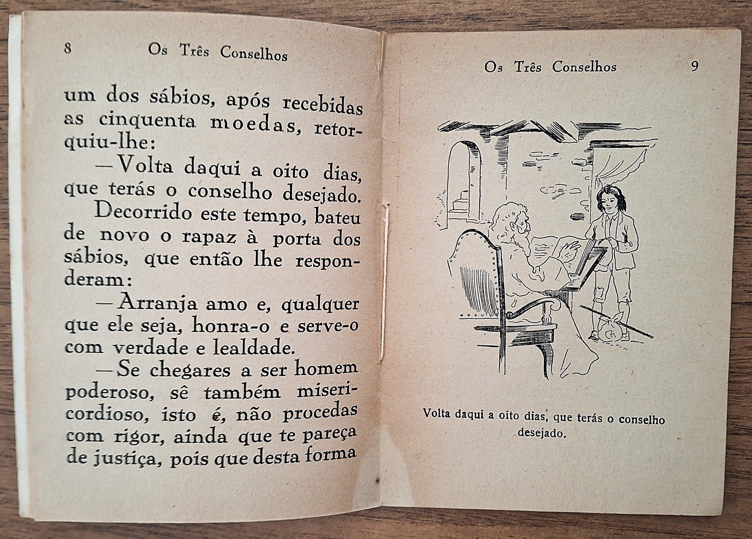 MAJORA - Editorial Infantil. N.6 Albi portoghesi per l’infanzia, collane Pica-Pau e Pinto Calçudo - immagine 8