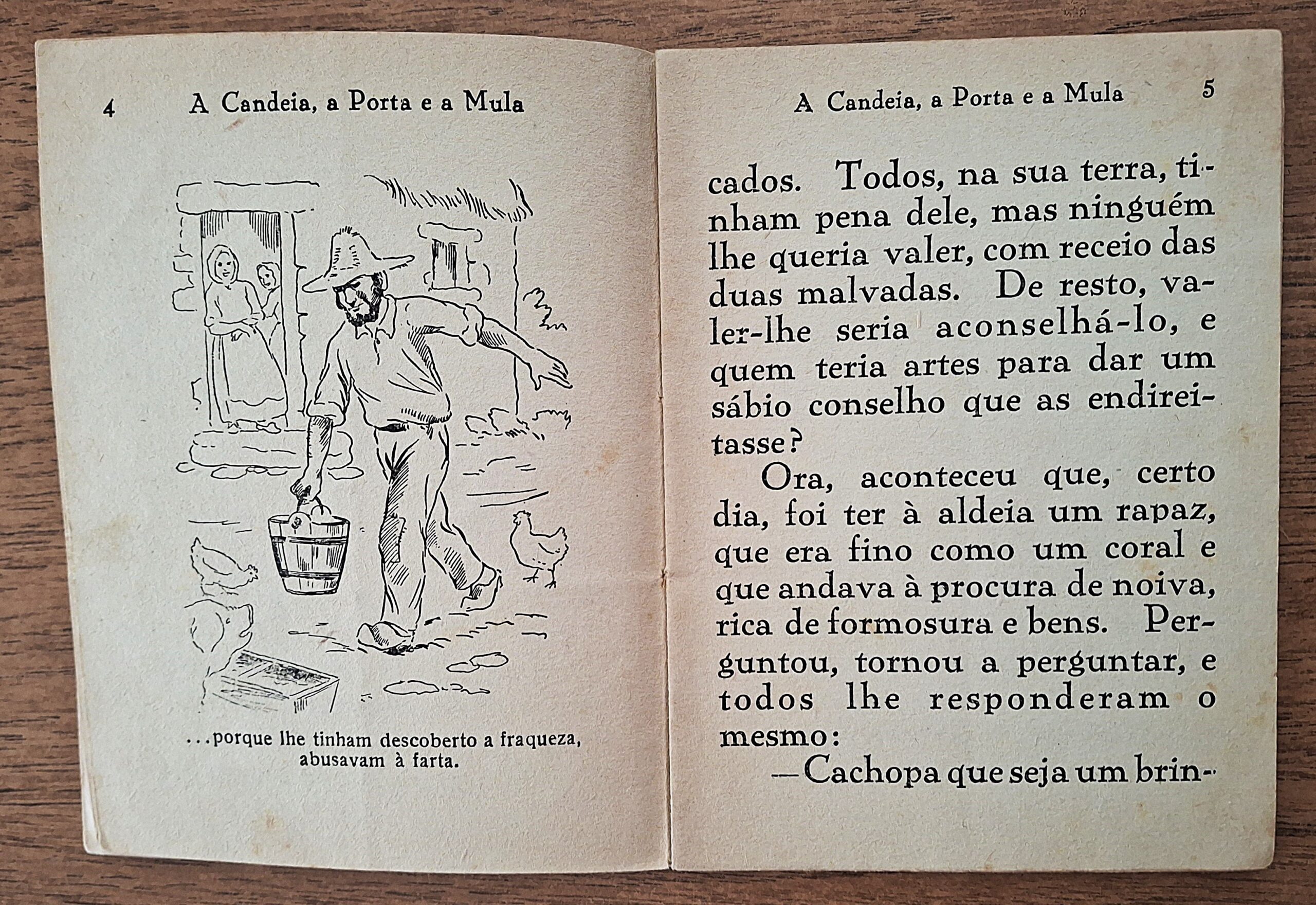 MAJORA - Editorial Infantil. N.6 Albi portoghesi per l’infanzia, collane Pica-Pau e Pinto Calçudo - immagine 11