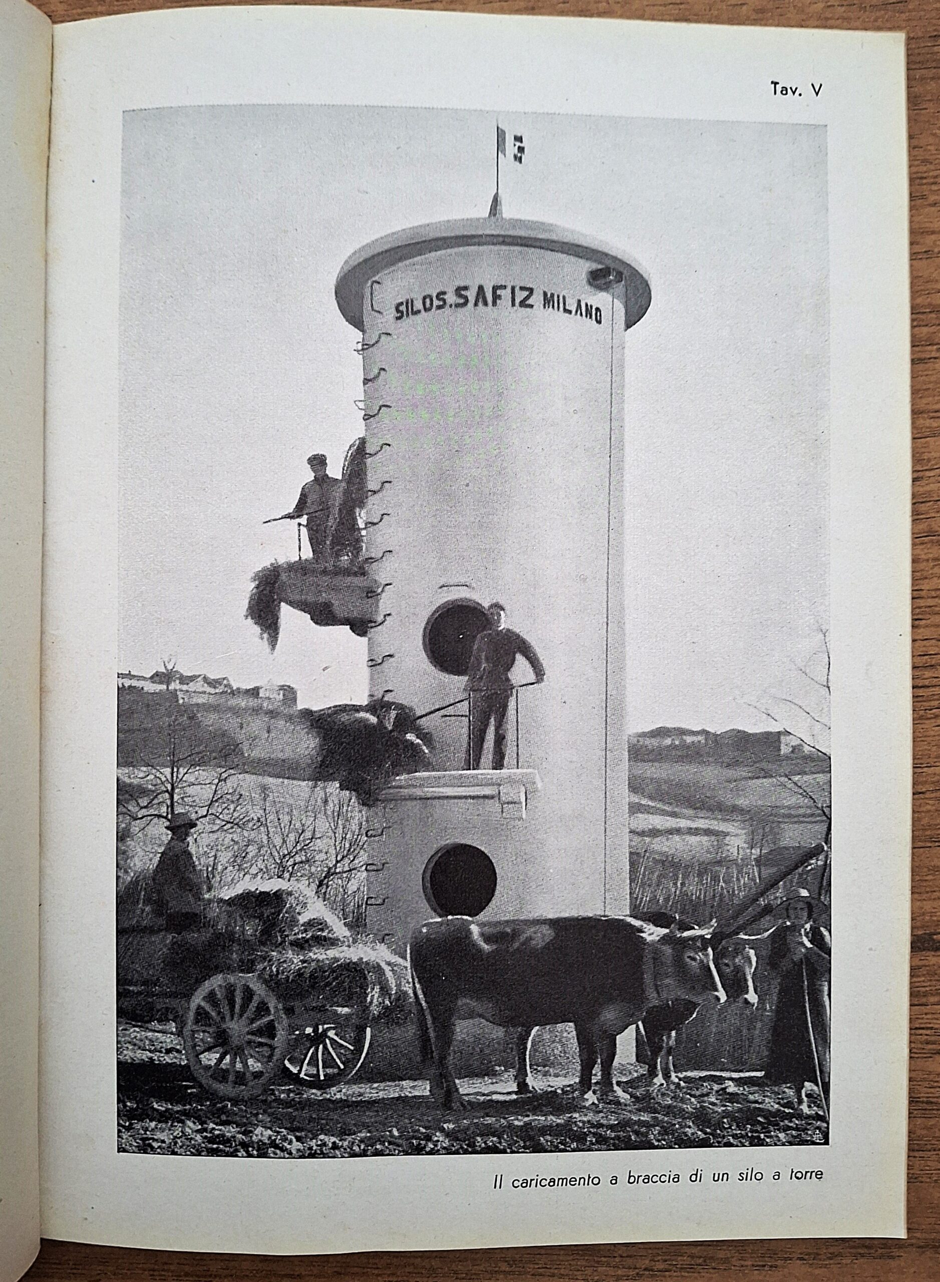 Biblioteca per l’insegnamento agrario professionale. Lotto di undici fascicoli. Anni 1931-1941. - immagine 10