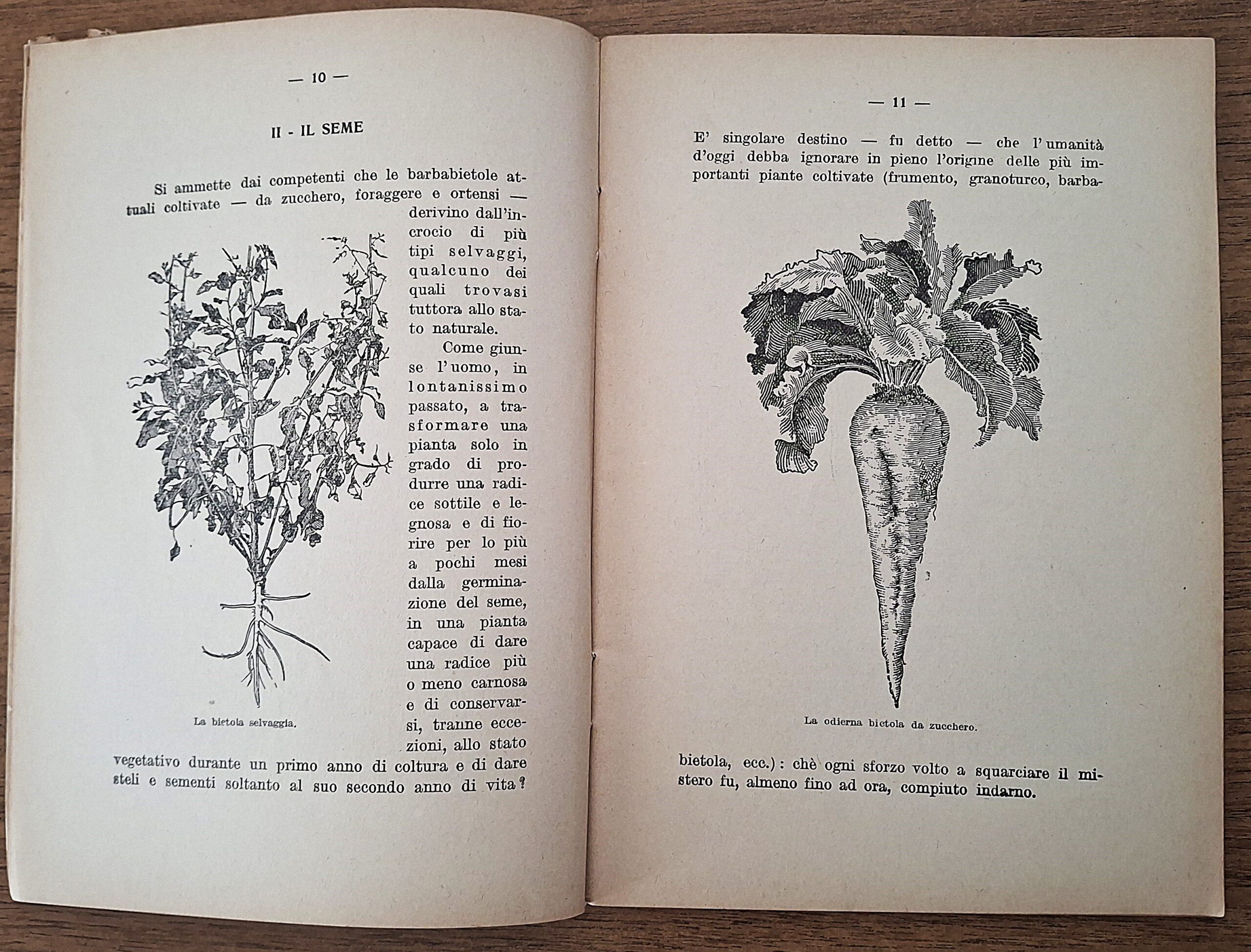 Biblioteca per l’insegnamento agrario professionale. Lotto di undici fascicoli. Anni 1931-1941. - immagine 13