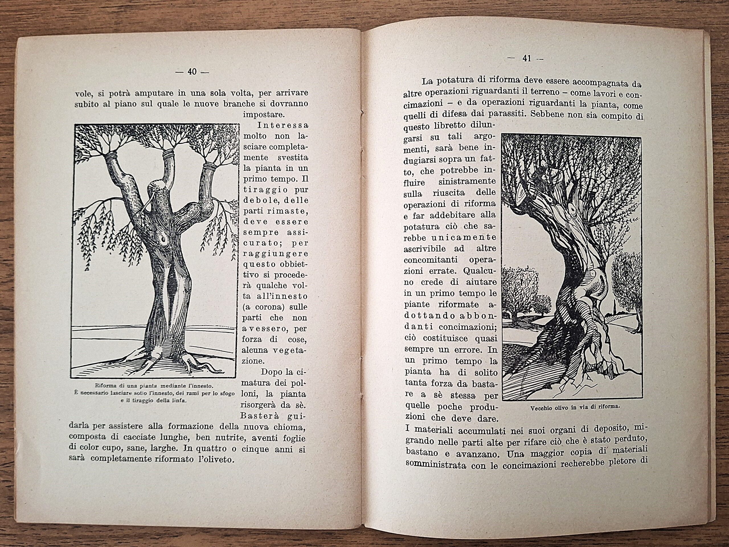 Biblioteca per l’insegnamento agrario professionale. Lotto di undici fascicoli. Anni 1931-1941. - immagine 29