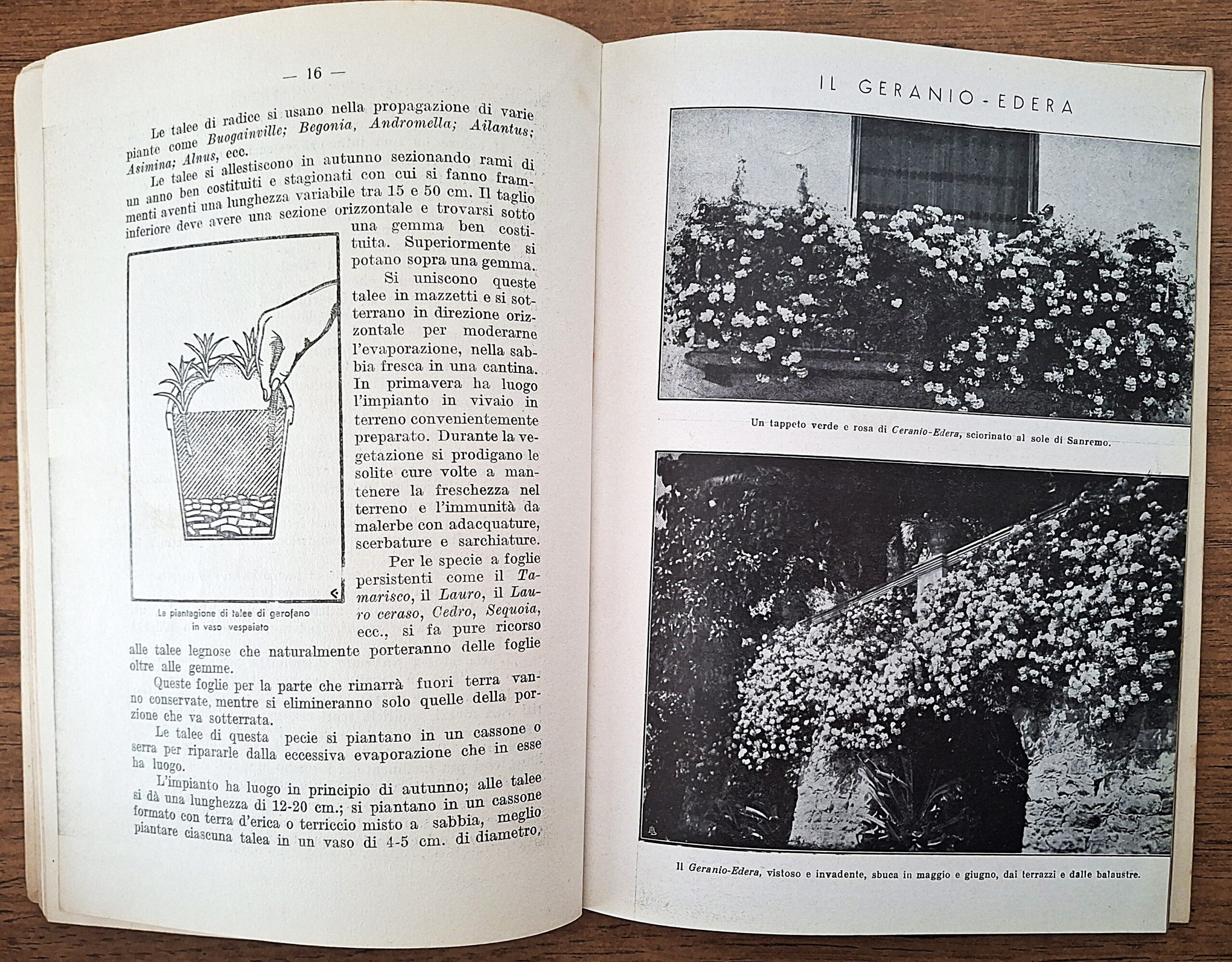 Biblioteca per l’insegnamento agrario professionale. Lotto di undici fascicoli. Anni 1931-1941. - immagine 3