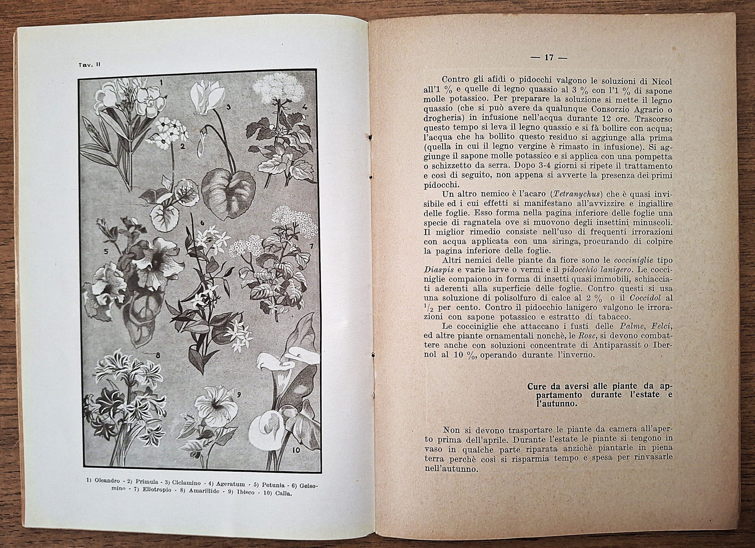 Biblioteca per l’insegnamento agrario professionale. Lotto di undici fascicoli. Anni 1931-1941. - immagine 6